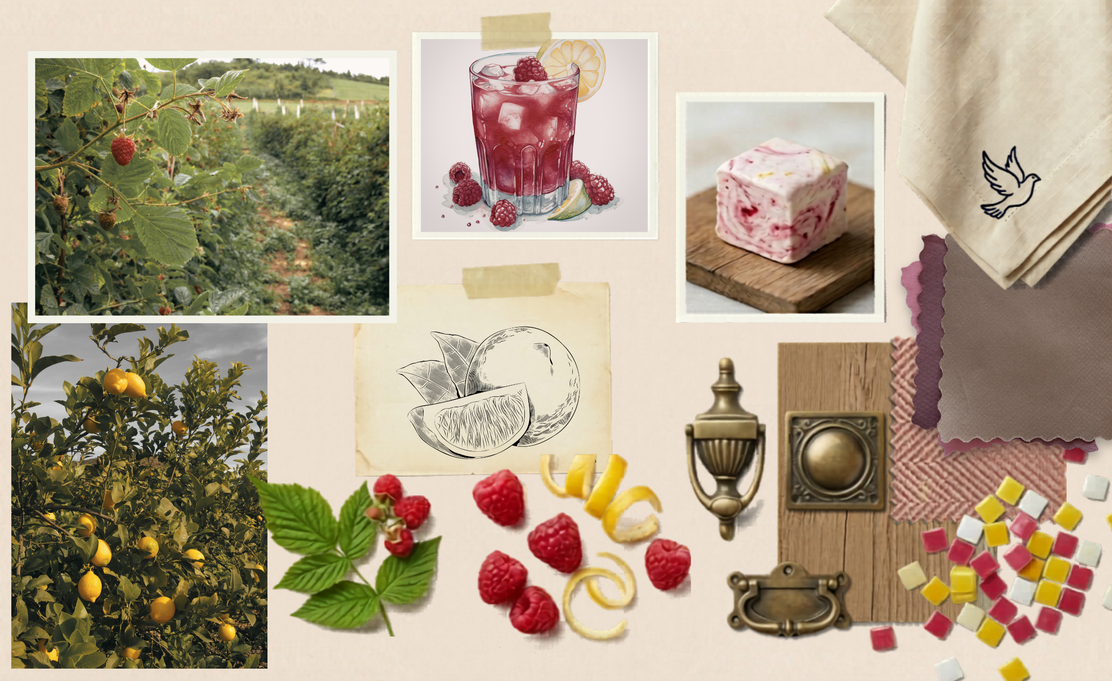 Collage of images including nature, food, and decorative elements on a textured surface.